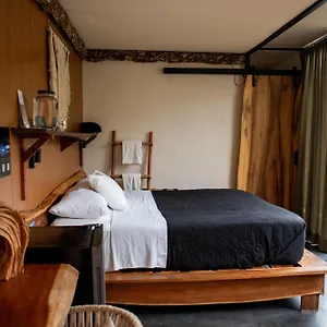 ** Hotel Bufo Alvarius México
